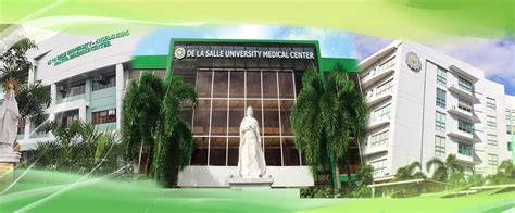 www.dlshsi.edu.ph portal